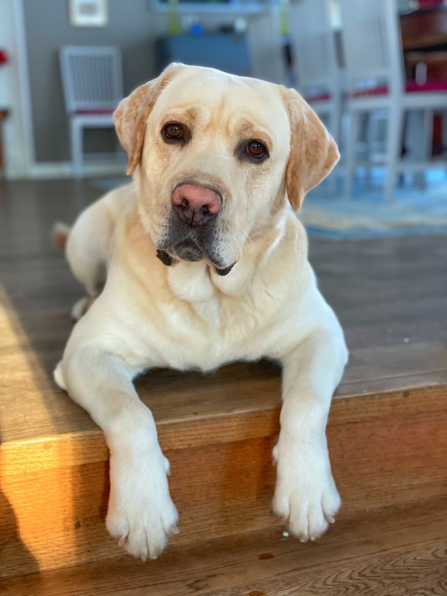 Jan Eliasson tweet media