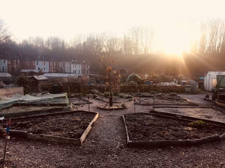 swcityfarm's tweet image. 🤔 What To Do In Your Vegetable Garden in December?

From growing, sowing and harvesting to tidying, maintenance and greenhouse tips, we got useful and actionable advice via @PropPlace 🌱.

🏃 Get on it ➡️ propagationplace.co.uk/vegetable-gard…

#gardeningtips #gardentips
