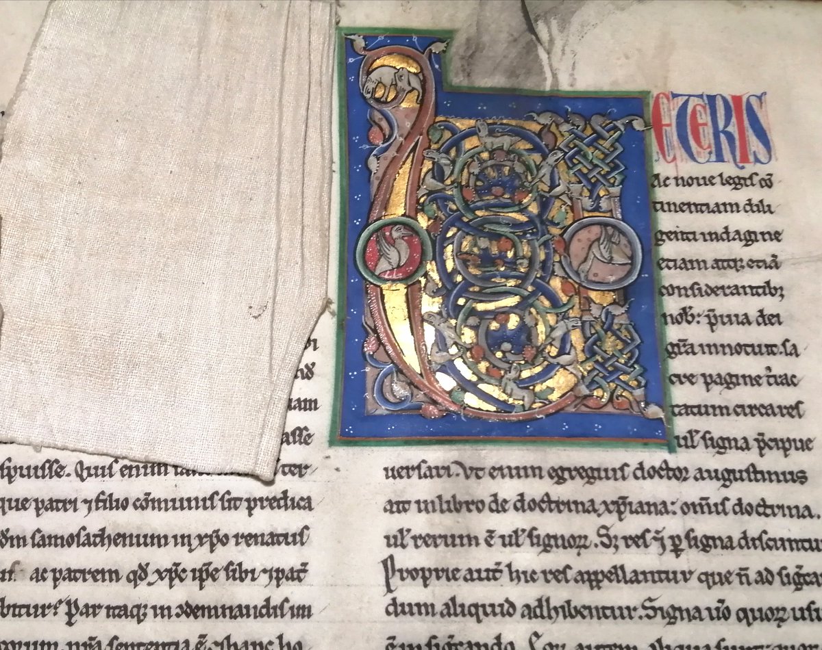 TheTaylorLibra1's tweet photo. Taylor Treasures for Advent - A beautiful illuminated initial in this ms of The Sentences of Peter Lombard, c.1300. Given to Shrewsbury School in 1609 by John Woodhouse, schoolmaster of Market Drayton. #IlluminatedInitial https://t.co/34PmCnbayJ