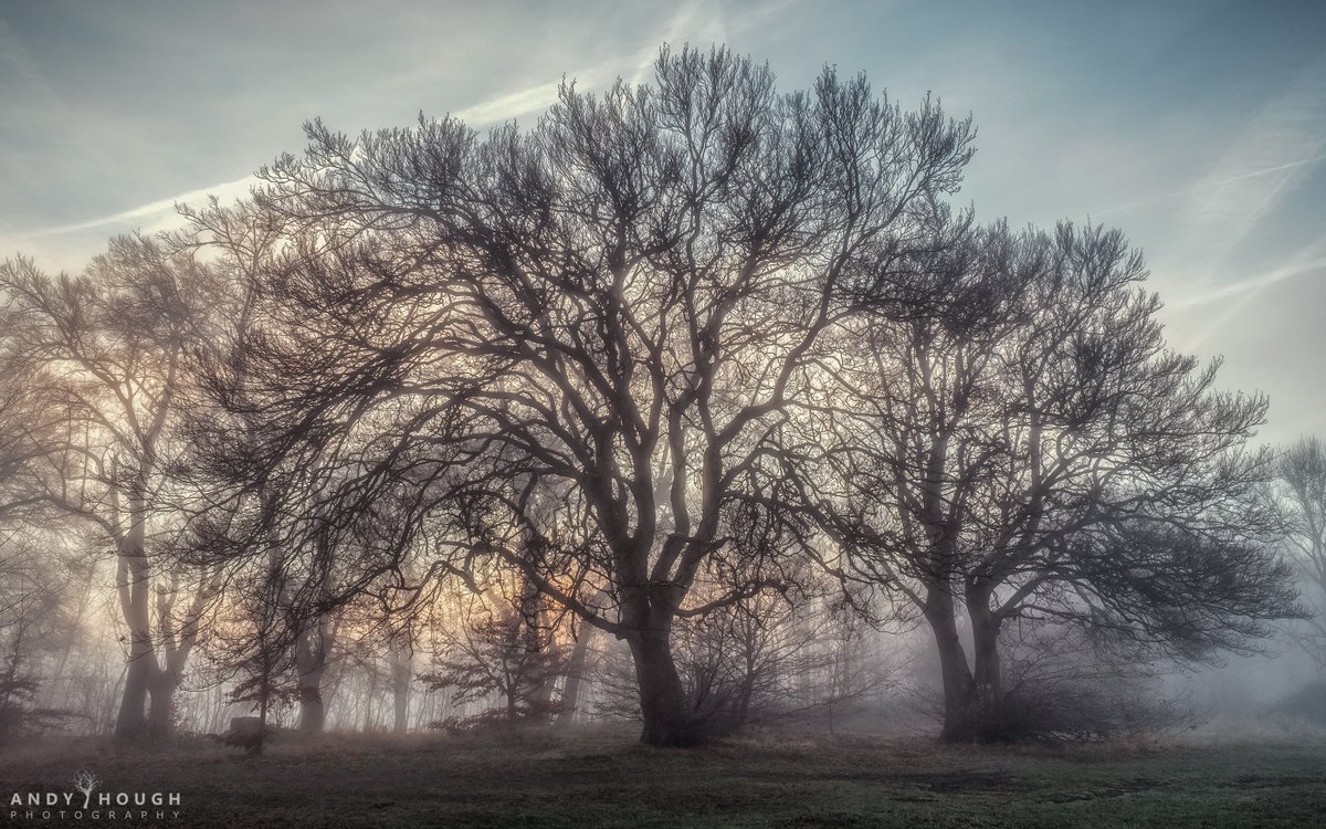 andyhough's tweet photo. This morning's misty #treescape taken at #whiteleafcross #buckinghamshire
#photography #trees #myphoto #nature https://t.co/UjW4AGygQA