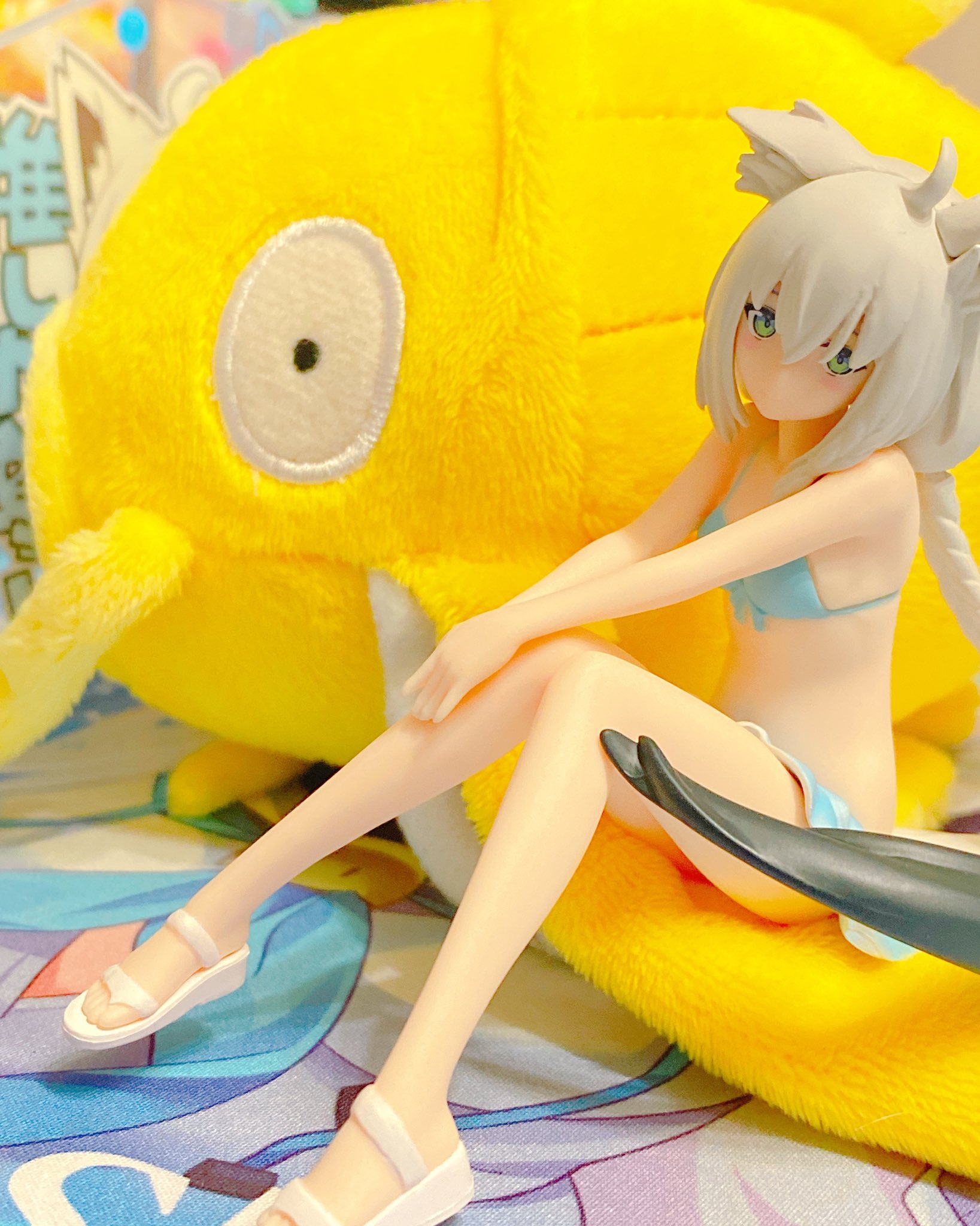 白上フブキ Creation歌ってみた 友人から クリスマスプレゼントに 金コイキングの ぬいぐるみ貰いましたぁ Shinymagicarp ﾜｧ ヽ ﾟ ﾟ ﾉ ｲ これを触媒に釣るぞぉ T Co Conqy194cz Twitter