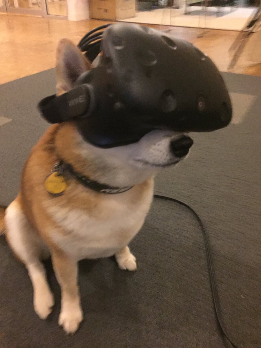 Stellar Doge $SDOGE tweet media