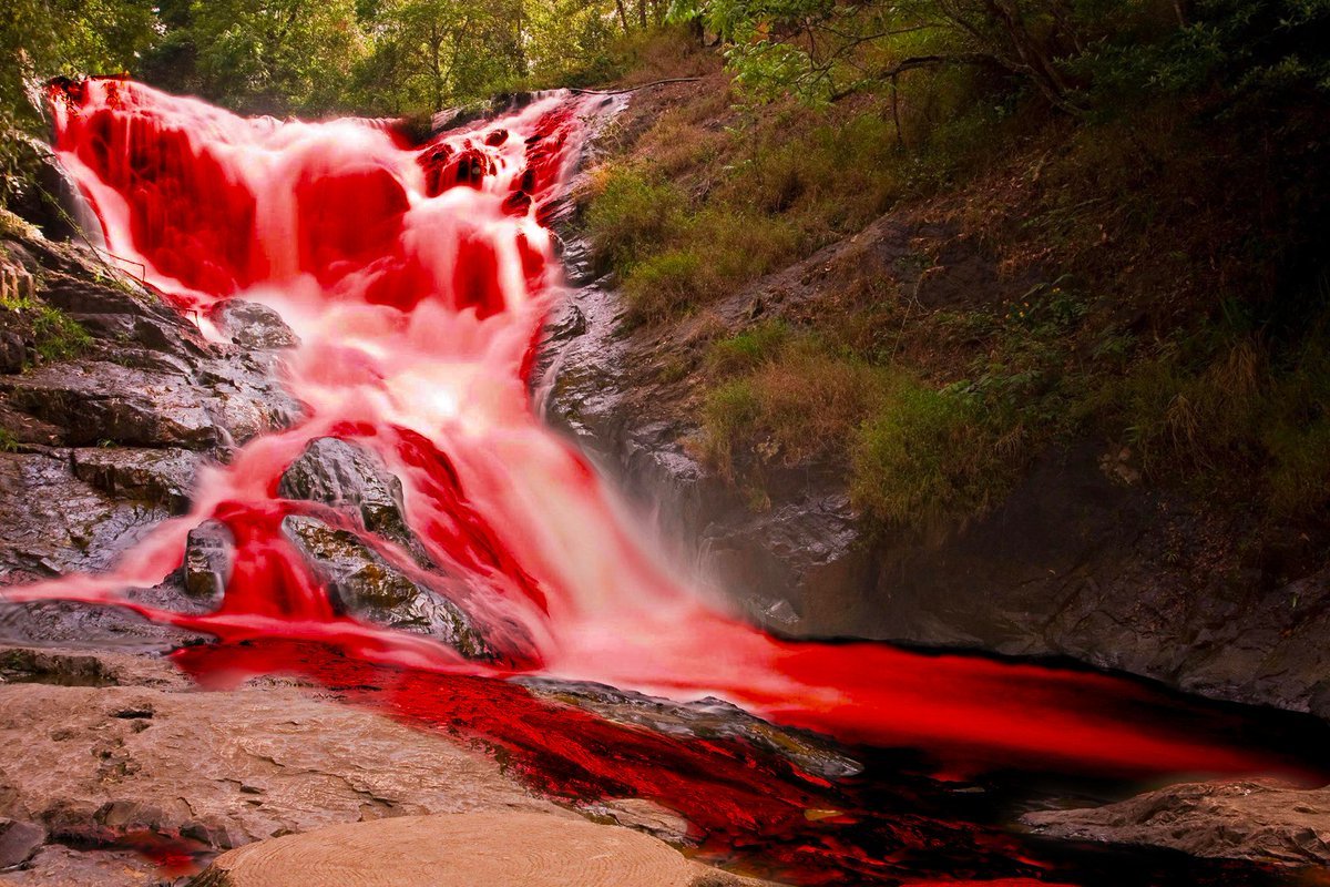 Река с красной водой. Водопад Кэмерон Канада. Кровавый водопад в Антарктиде. Красный водопад в Антарктиде.