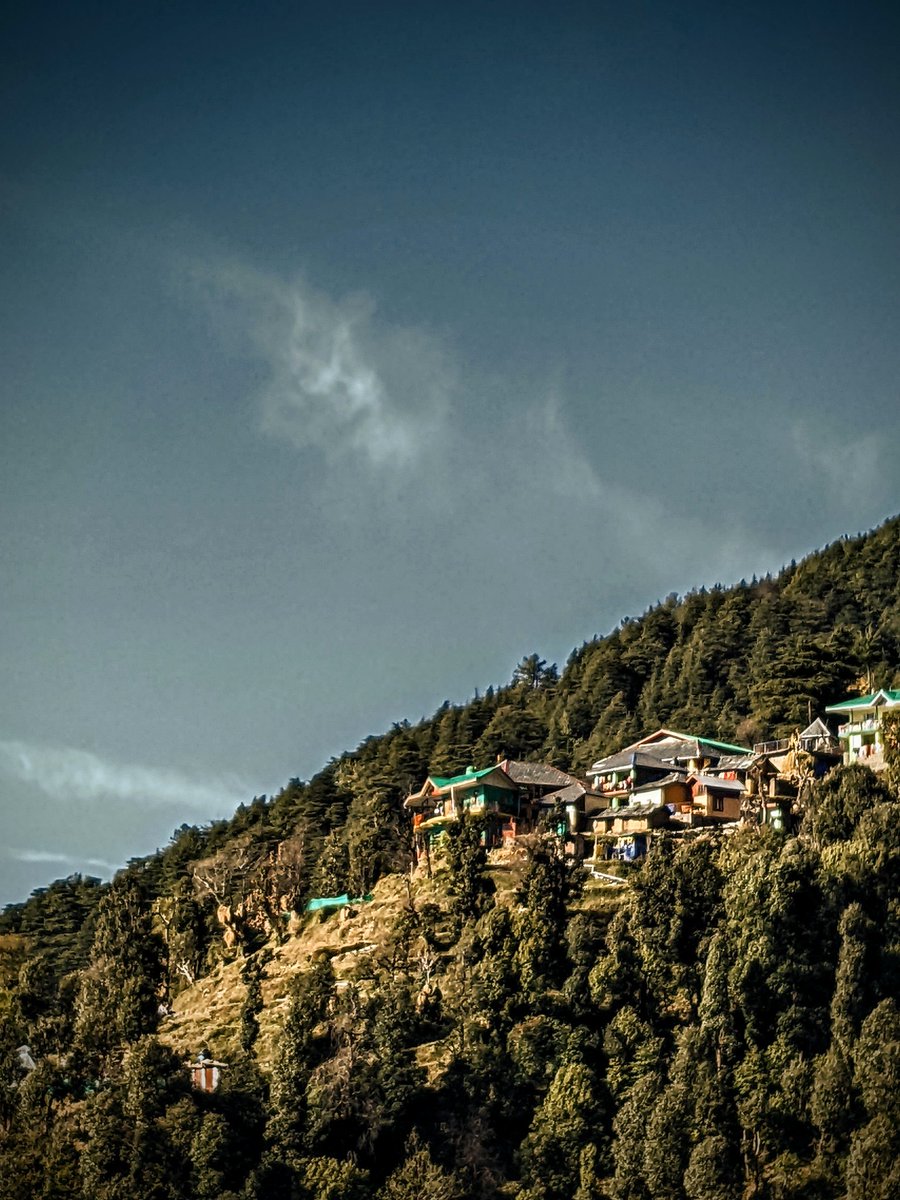 Beautiful Dharamkot 🤍

#teampixel #pixel4a #dharamkot #himachal #mountains #December2021