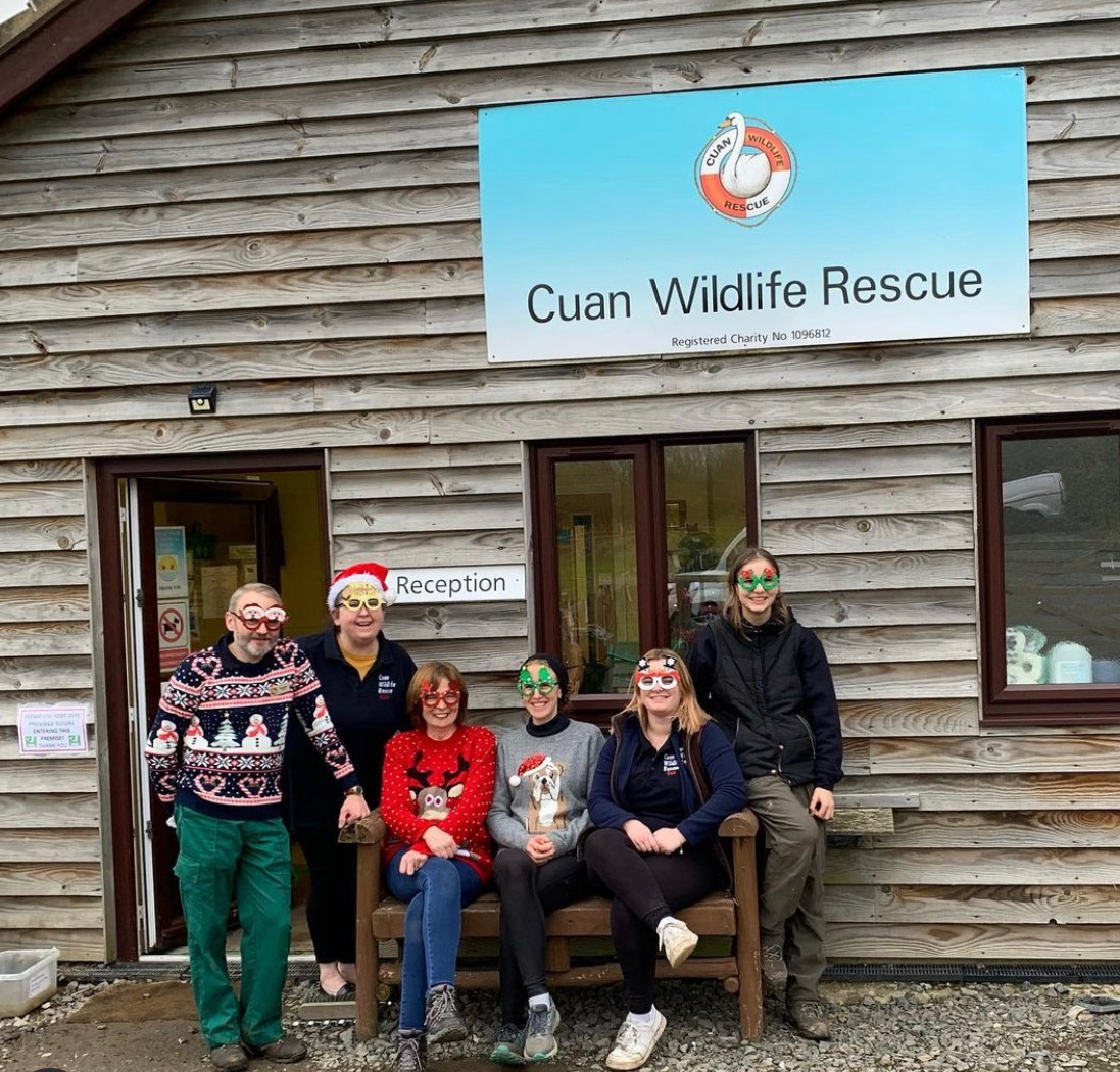 CuanWildlife's tweet photo. Some of the team are feeling very festive this year!🎄 
Although it’s Christmas week nothing changes for us, we will still be here Christmas Day caring for the animals. https://t.co/gyWX01LMYW