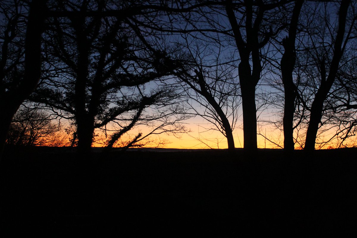 Emyr Lyn tweet media