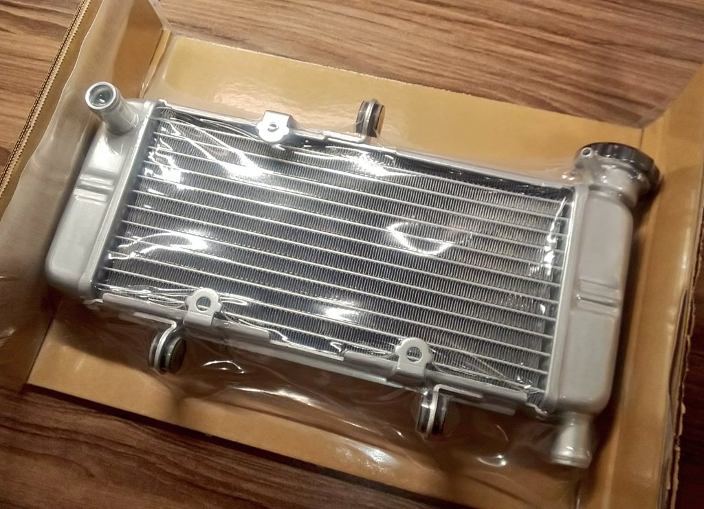 コンテッサ ラジエター ロアホース 掻ける