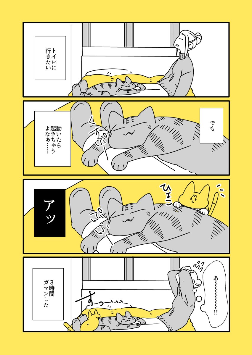 猫と子猫とガマン https://t.co/XEzSeys50N 