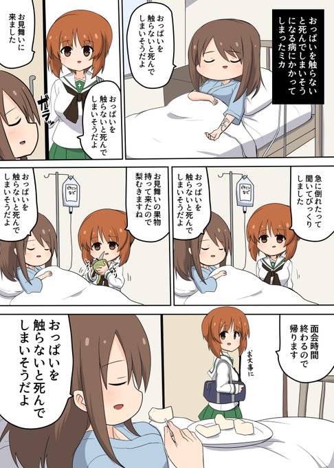 すごく優しいけどおっぱいだけは触らせてくれないみぽりん 