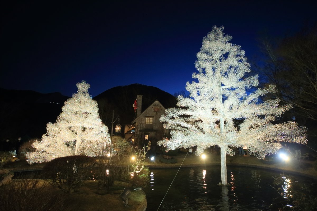 箱根ガラスの森美術館 10時開館 クリスタル ガラスのクリスマスツリー展示中です クリスタル イルミネーション T Co Ak7wdh3fx4 ライトアップ キャンドル 午後4時頃から 雨天中止 クリスマス開館時間延長 21年12月24日と25日は閉館