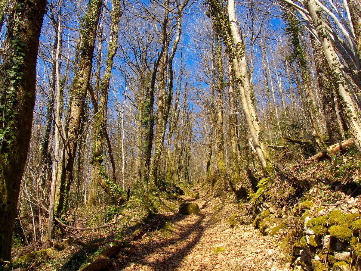 occitaniatours2's tweet photo. Es tiempo de enseñaros el Sidobre, región occitana famosa por sus formaciones rocosas de granito. Pero esta vez me centraré más en los paisajes. Montañas redondeadas que se alternan con bosques de robles antiguos. No hay NADA MÁS. Y ahí radica la magia de esta zona. https://t.co/tZzkfuR1m4