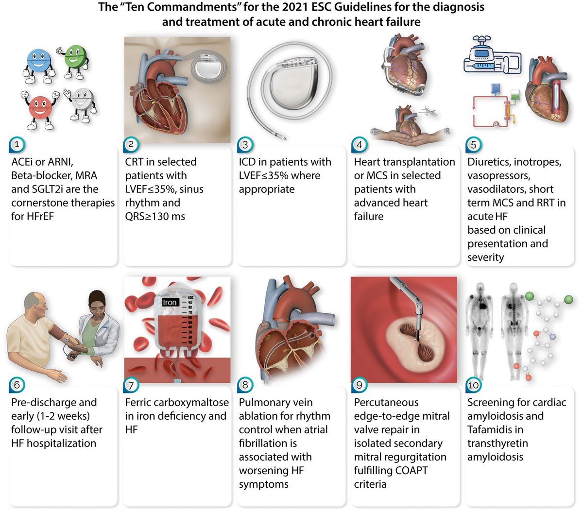 HanCardiomd's tweet image. The ‘Ten Commandments’ of the 2021 ESC Guidelines for the diagnosis and treatment of acute and chronic heart failure 
#HF 

academic.oup.com/eurheartj/adva… @ESC_Journals @escardio @MarcoMetra @ShelleyZieroth @SantosGallegoMD @DrRyanPDaly @DrMarthaGulati @ALEX_MISCHIE @mmamas1973 @iamritu