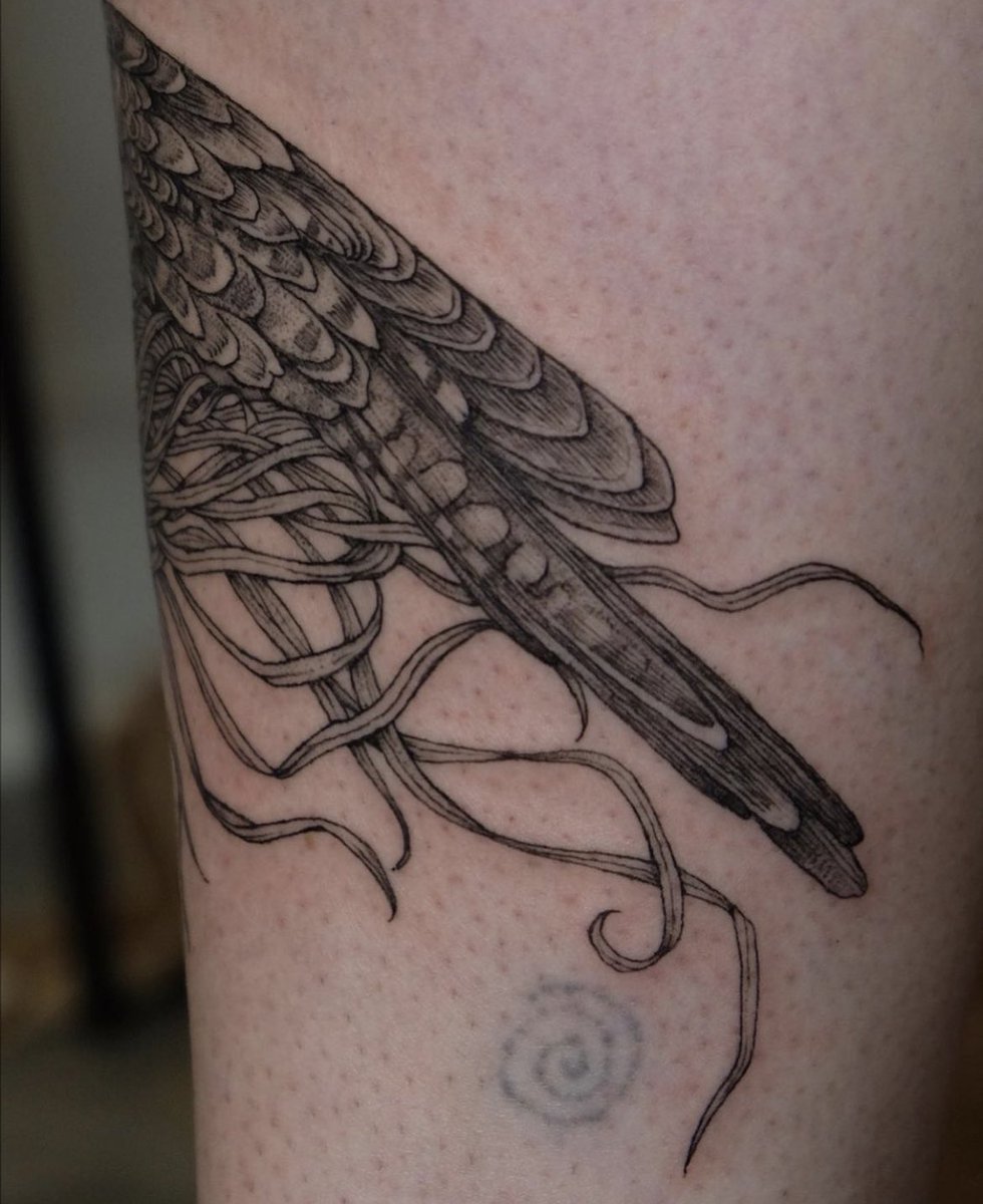 Knifebebe tweet media