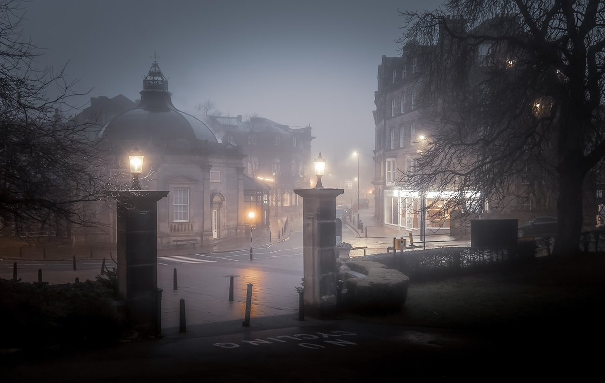 Foggy morning in Harrogate #PhotoOfTheDay #ThePhotoHour #StormHour #iPhone13Pro #Fog #iPhone13series #iPhone13 #streetphotography #Yorkshire #ValleyGardens #Harrogate