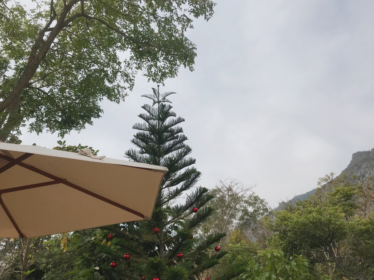 s_baiitong's tweet photo. PARK. [JINYOUNG] 🪴🥤 https://t.co/j0kVDT3qbr