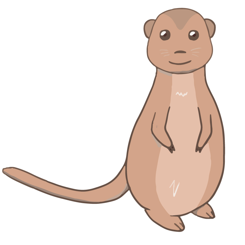 ピカピカピ ミーアキャット 動物 動物園 イラスト かわいい T Co Asx861wg1m Twitter