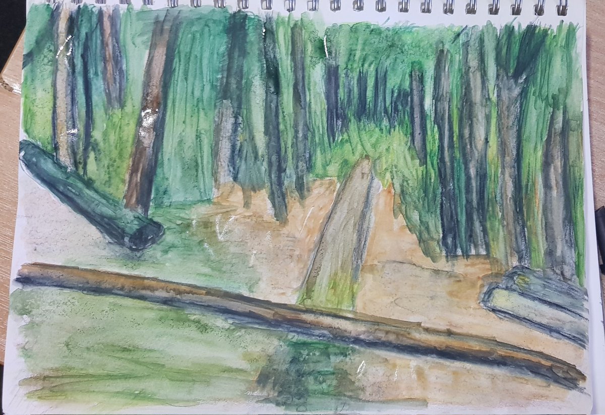 mark_pollitt's tweet photo. Watercolour at work..forest in watercolour https://t.co/aR2e8Medfh