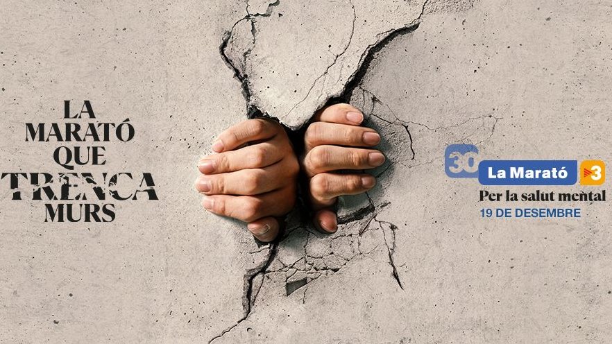 Francesc Mateu i Hosta tweet media