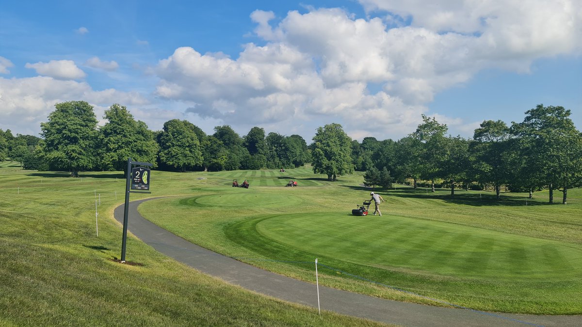 joe bedford tweet media