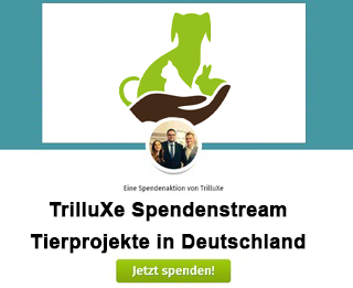 TrilluXe's tweet photo. STREAMZEMBER Tag 19!
https://t.co/bGWksdyZTj
Ihr habt entschieden, heute sammeln wir für verschiedene Tierheime &amp; Tierprojekte in Deutschland im dritten CHARITY STREAM im #STREAMZEMBER! 😄
Heute geht es auch direkt wieder bei HUNT rein! 😍
https://t.co/KdC0JCSQIA https://t.co/6DsVZiPvck
