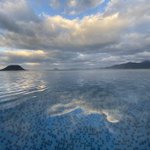 ツイートに含まれる画像