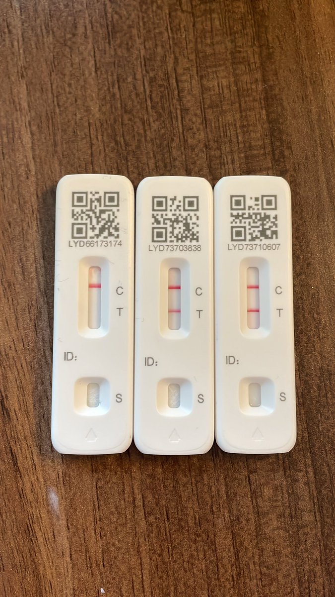 Introducing LFDs: little fecking demons that grant none of your Christmas wishes 😭🎄❌
