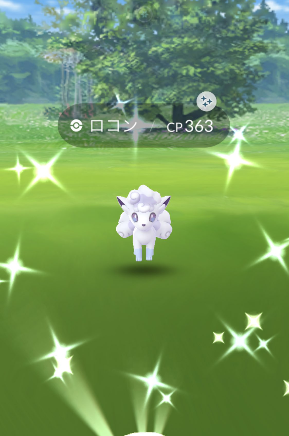 Holancia Holancia1 Twitter