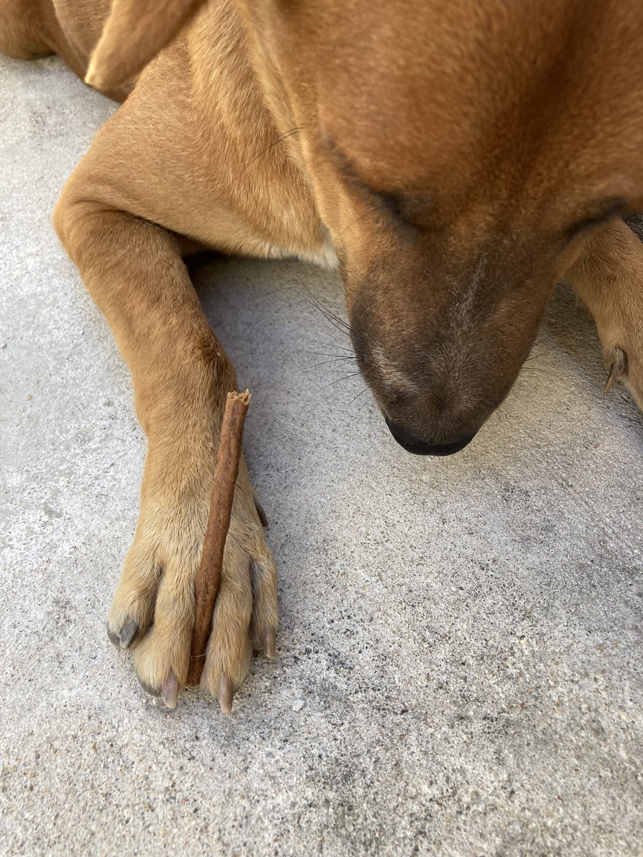 กลับมาห้ามดิ @fybabyxjeno