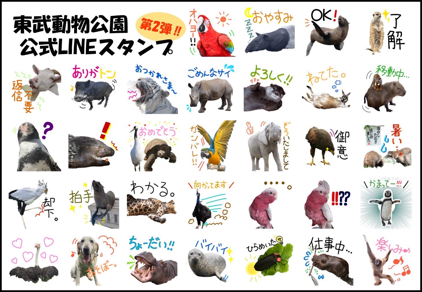東武動物公園 公式 Tobuzoo Info Twitter