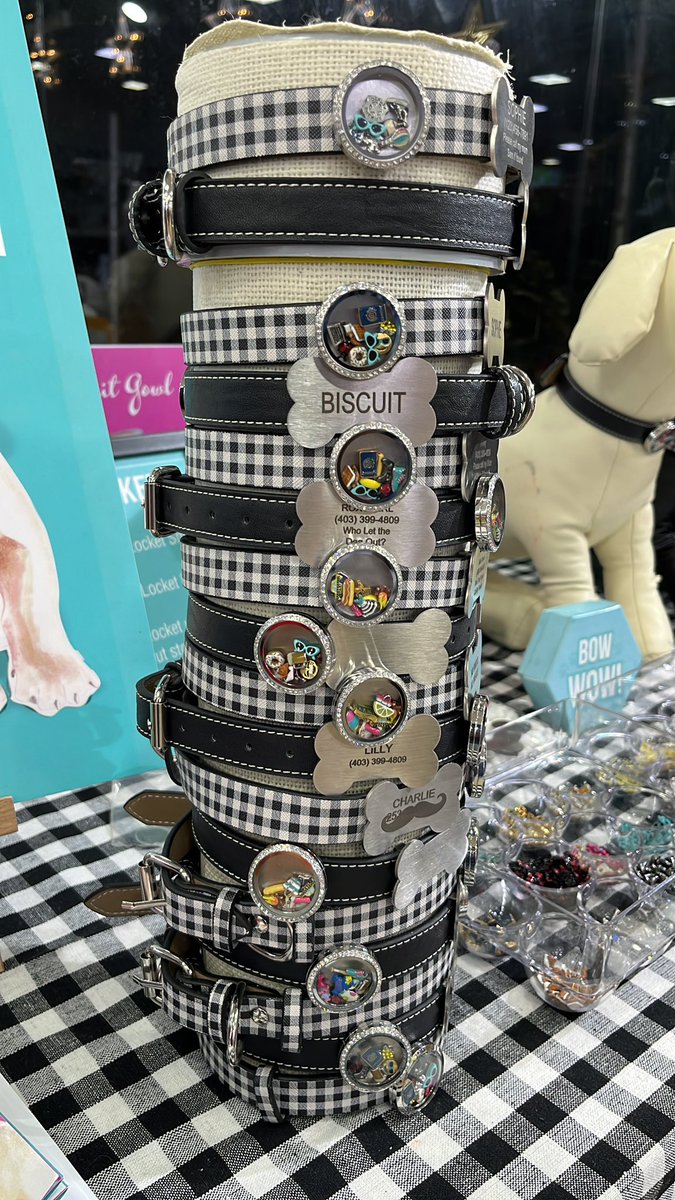 vjayanth92's tweet image. First Stall for #guvitgowl goes on floors in #JUSTDOGS showroom Koramangala !!