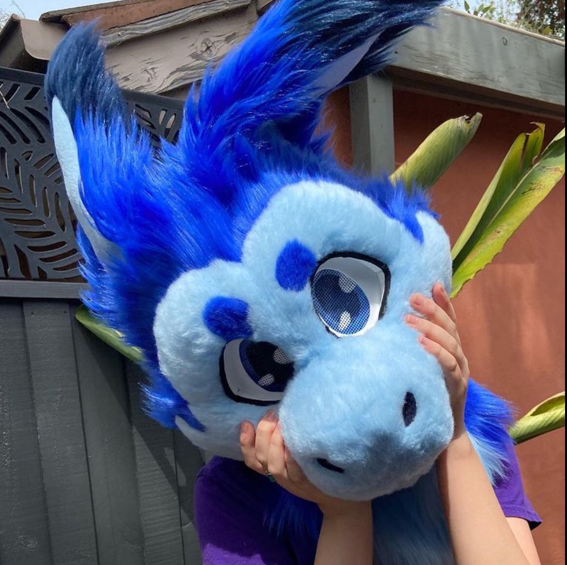 FrogDogDesigns's tweet photo. The latest suit... how cute is he in this photo 😍 https://t.co/GtXoyrm1OU