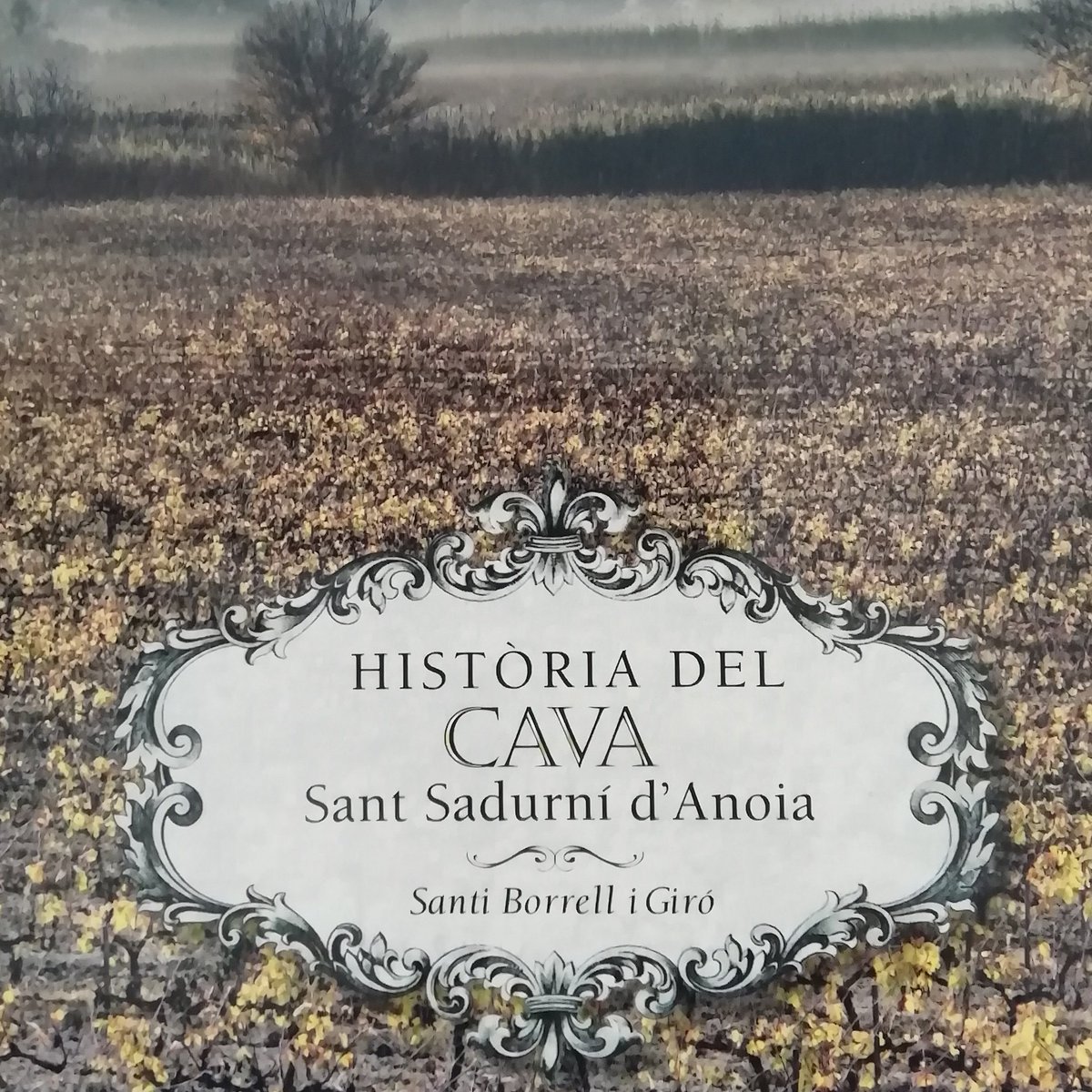 Santi Borrell tweet media