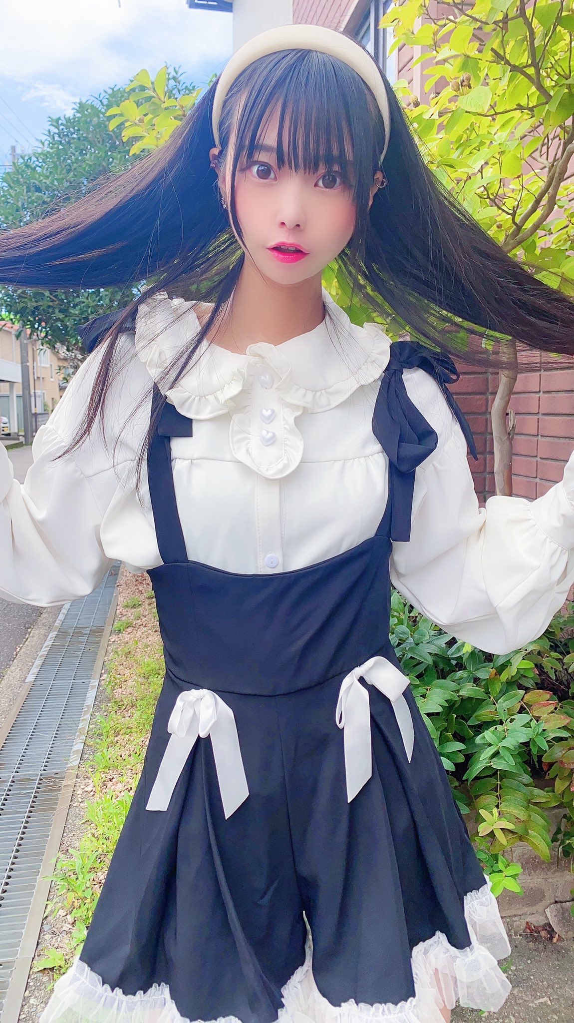 Rui Rocks 水木春花: ハナミズキ 樹木図鑑 – AQYKH