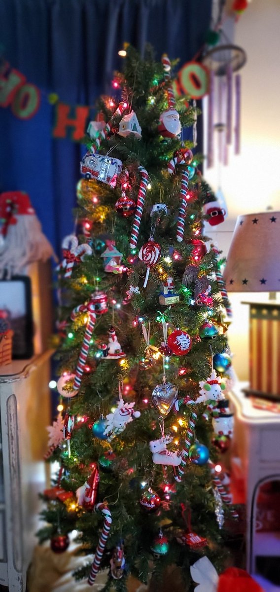 WKWBentley3's tweet photo. Our Family Christmas Tree for 2021. https://t.co/W30krYs978