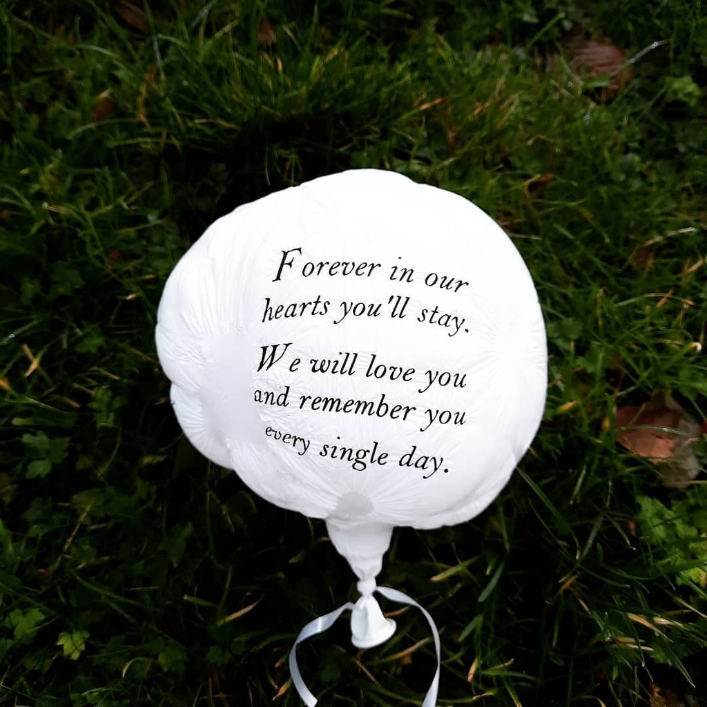 TrashlessEarth's tweet photo. Strange message on a plastic balloon found in nature. Besides the love part it is pretty accurate in describing the problem we have with plastics.

#trashfree #zwerfievandedag #zwerfie #trashpickup #trashpicker #trashless #plasticfree #balloons https://t.co/cbynQXoXS4 https://t.co/c9jDJxiAJg
