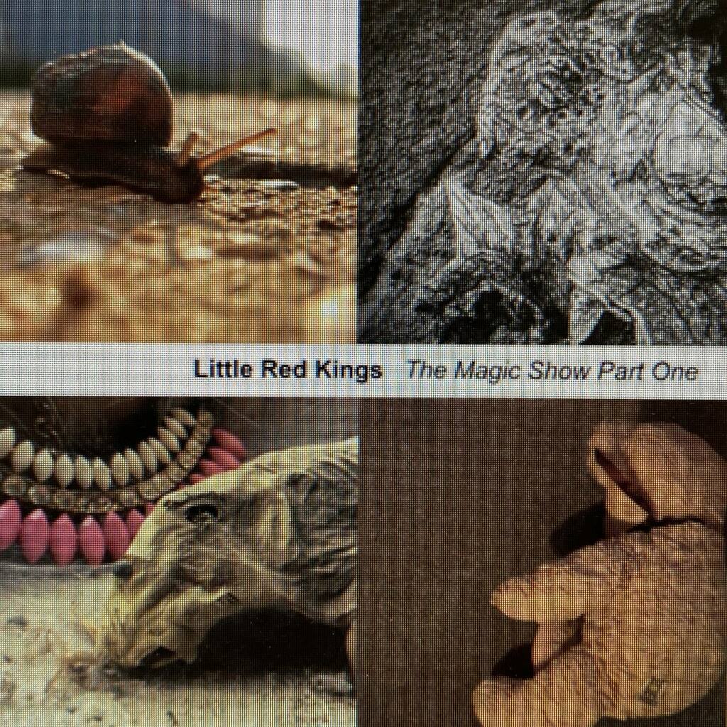 Nick Kirk tweet media