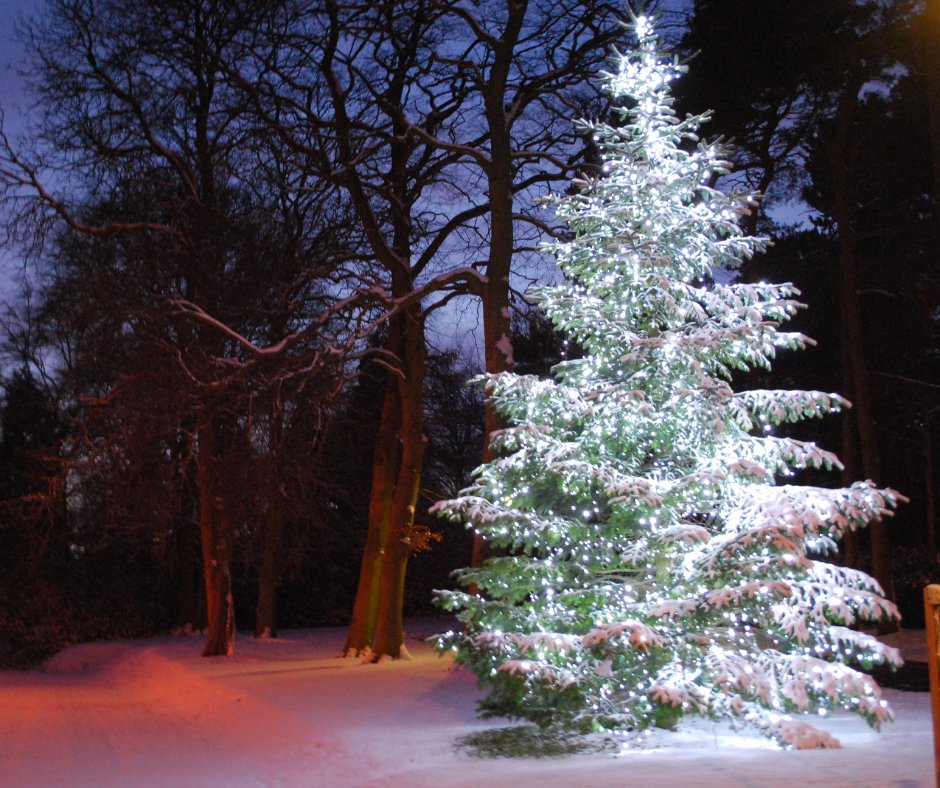 mysaintmichaels's tweet photo. (2/3) We welcome you to the tranquil grounds of our hospice this Sunday at 4pm. We will be lighting our Christmas tree and sharing that light to bring love, comfort and hope. Please view our Facebook event: https://t.co/7nONZBJK3u and Covid precautions: https://t.co/n5oTyAtpc0 https://t.co/SQe8DITFrJ