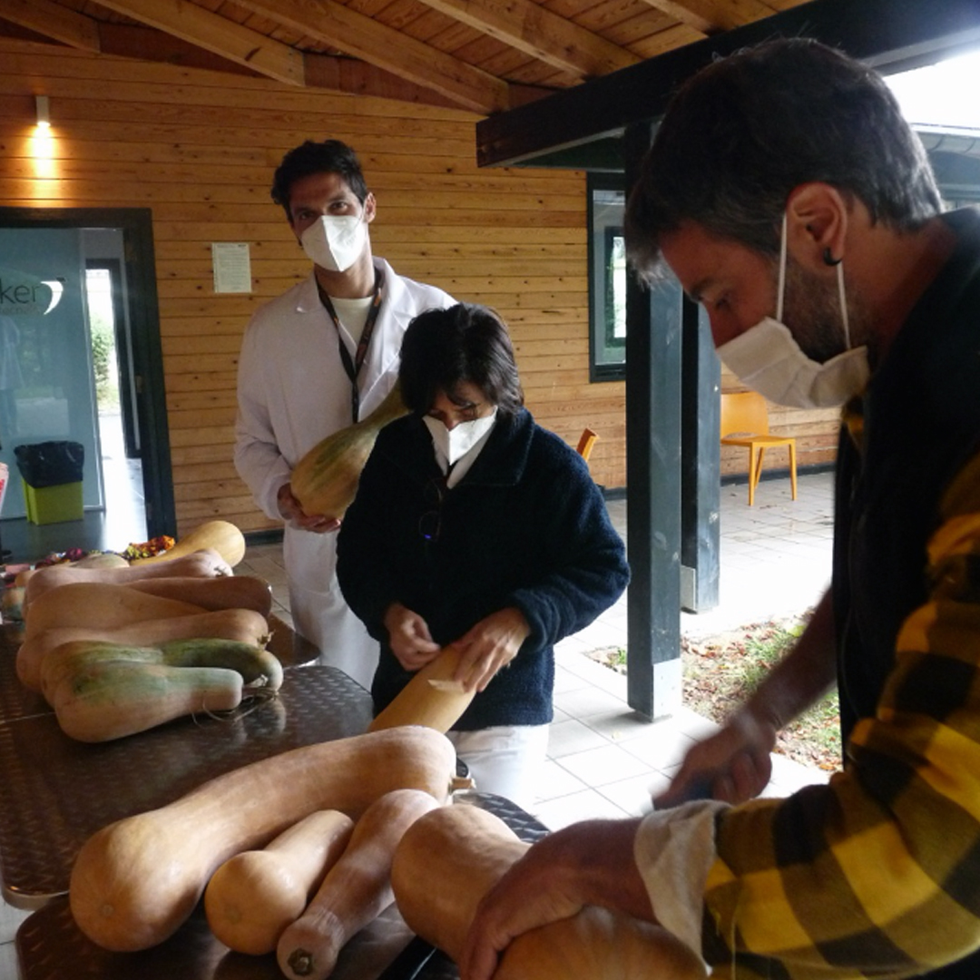 📝#GEK | Aurten ere, NEIKER osatzen dugun kideok <a href="/SALUGANDA_eus/">SALUGANDA Elkartea</a>-ekin lankidetzan aritu gara, beren kalabaza solidarioak erosiz, Ugandako nekazaritza eskola jasangarriak finantzatzeko.

👉bit.ly/3EnImhu