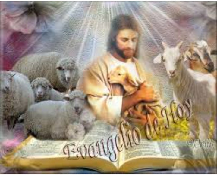bellezaybondad's tweet photo. Evangelio según San Mateo 18,12-14.
Jesús dijo a sus discípulos:
"¿Qué les parece? Si un hombre tiene cien ovejas, y una de ellas se pierde, ¿no deja las noventa y nueve restantes en la montaña, para ir a buscar la que se extravió?
#EvangelioDelDia #EvangelioDeHoy #Dic7 https://t.co/7HJmsEOhts