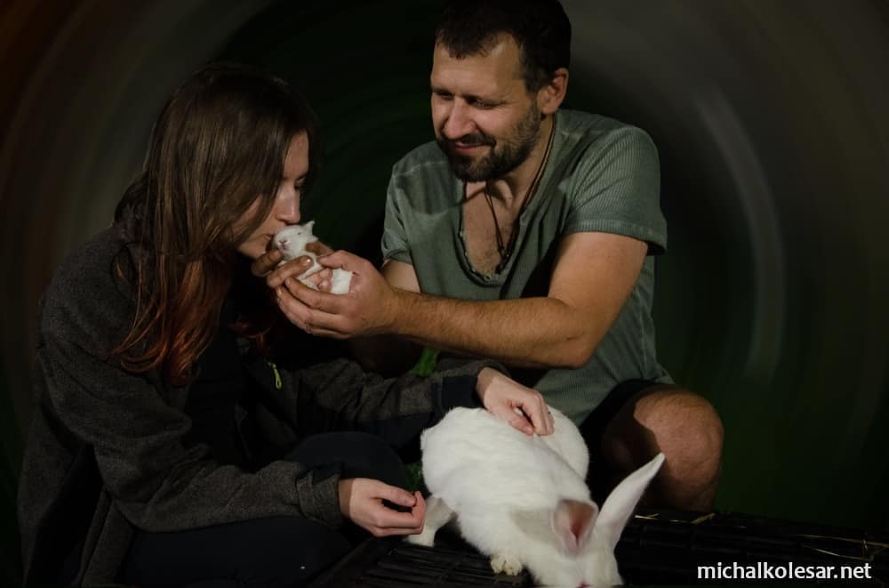 Open Rescue of Rabbits (Czech Republic)

It’s raw and few stars. Going through the meadow to the building. Near by is the road. We watch out and when a car shows up, we lay down and wait for it to disappear....

animalliberationpressoffice.org/NAALPO/2021/11…