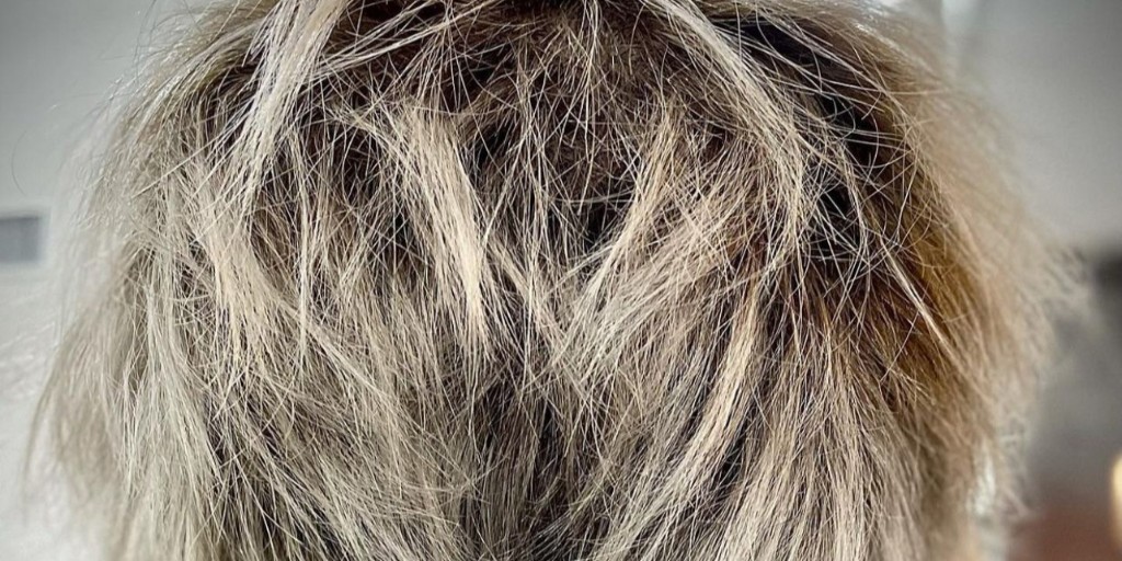 PMTSDallas's tweet photo. Getting holiday ready with a shadow root color and a fresh haircut by Future Professional @ yepitsashlea (IG). ❄️✂️☃️ https://t.co/ZBjJJAhDnf