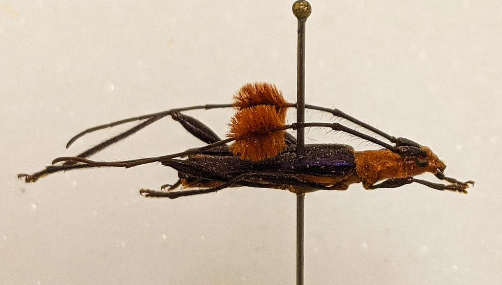 Oliver Keller Ph.D. tweet media