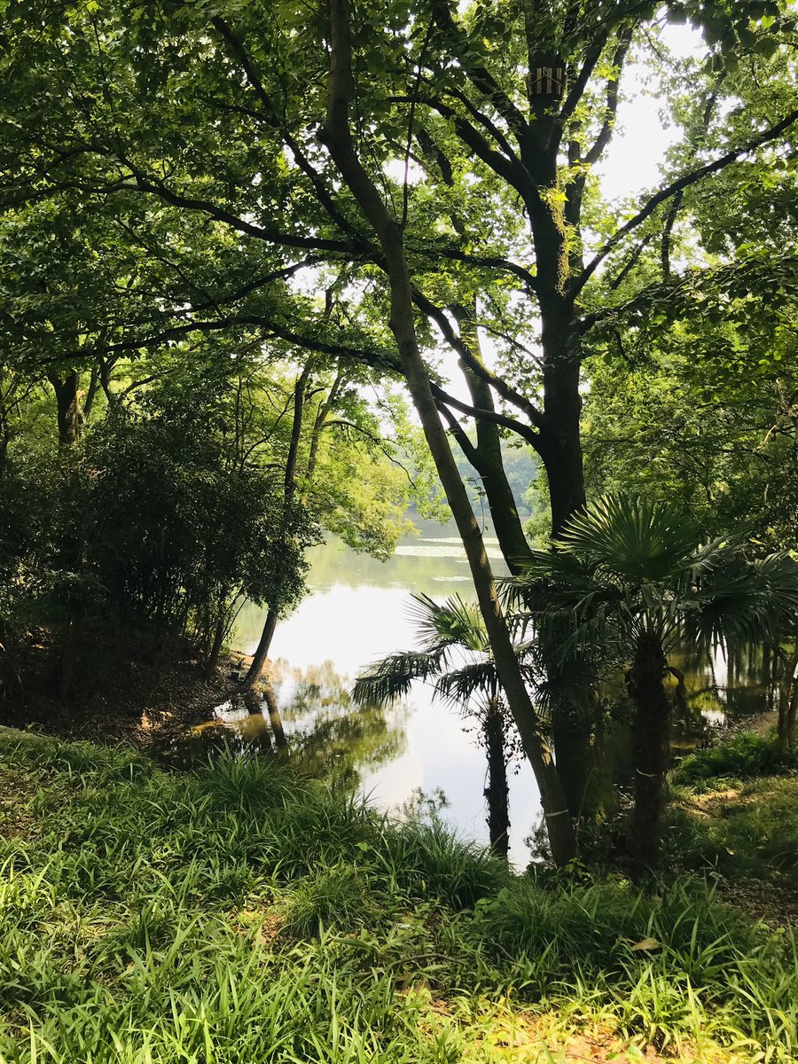 坚持下去，都会好起来，要开心一些哦