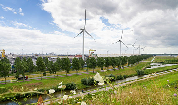 Noord-Holland tweet media