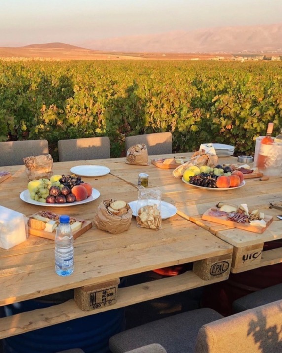 VindWine's tweet photo. From Cannabis to Cabernet in Lebanon’s wine industry. https://t.co/954ifugb1K A fascinating article by Amy Dunn. https://t.co/kDWWJttUW4