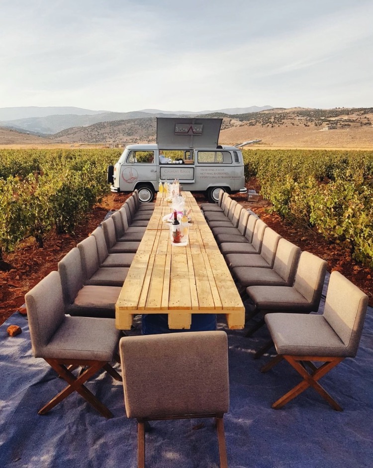 VindWine's tweet photo. From Cannabis to Cabernet in Lebanon’s wine industry. https://t.co/954ifugb1K A fascinating article by Amy Dunn. https://t.co/kDWWJttUW4