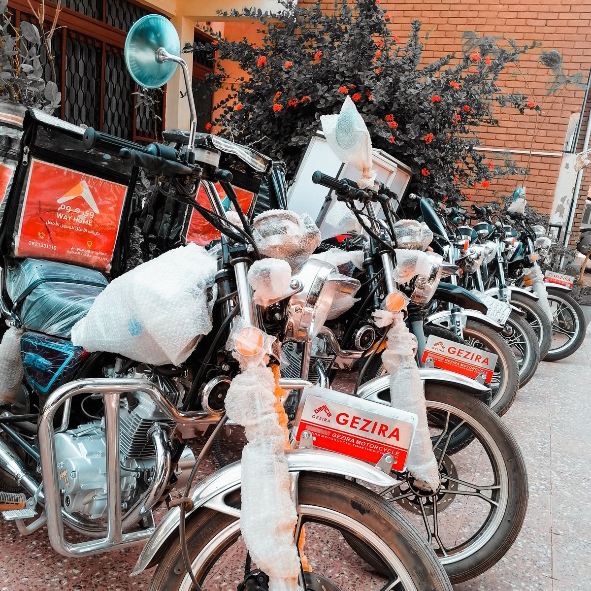 WayHomeSD's tweet photo. إسطول كامل تحت خدمتكم 🥇
للتعاقدات والإستفسارات 👇
https://t.co/zwuCnLcBiU
#wayhomedelivery
#طريقك_الأمثل_للوصول_الأفضل https://t.co/EkCEfaDNe1