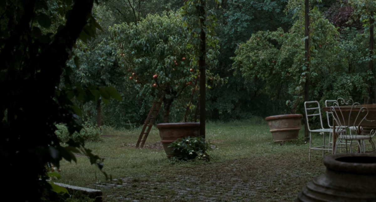 Call Me By Your Name Al Twitter T Co Orzmmxlpxp Twitter