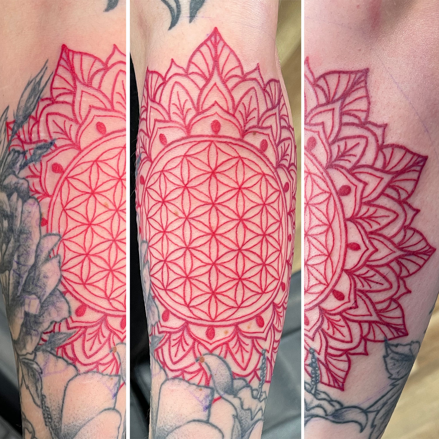 70 Flower Of Life Tattoos  meanings  Body Art Guru