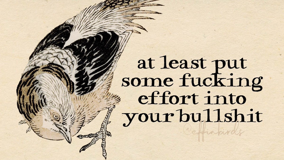 EffinBirds's tweet photo. https://t.co/4CmzSGkgi8